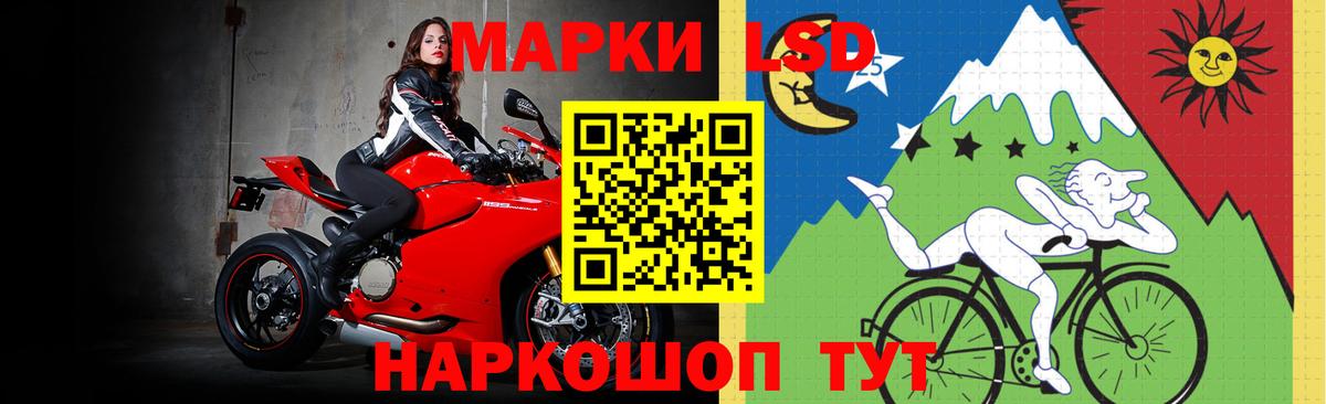 OMG вход  LSD-25 экстази  Вход с VPN  LSD-25 экстази ecstasy  Лсд 25 экстази ecstasy  Лесной 