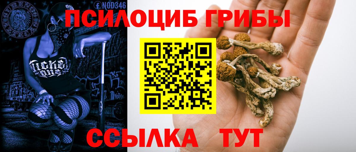  Кокаин Лесной