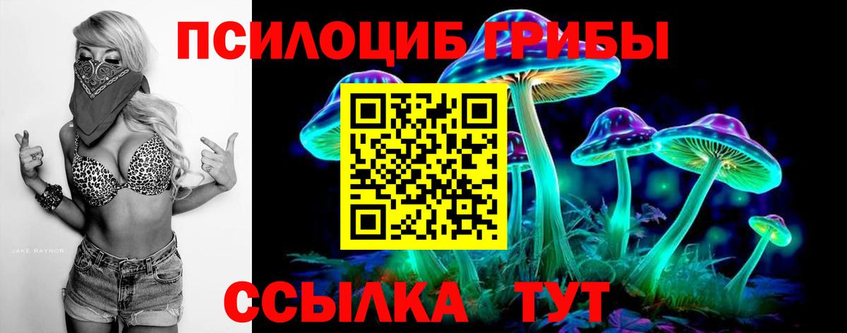 Галлюциногенные грибы GOLDEN TEACHER  Псилоцибиновые грибы Cubensis  Вход с VPN  Лесной 